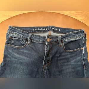 Articles of Society skinny jeans